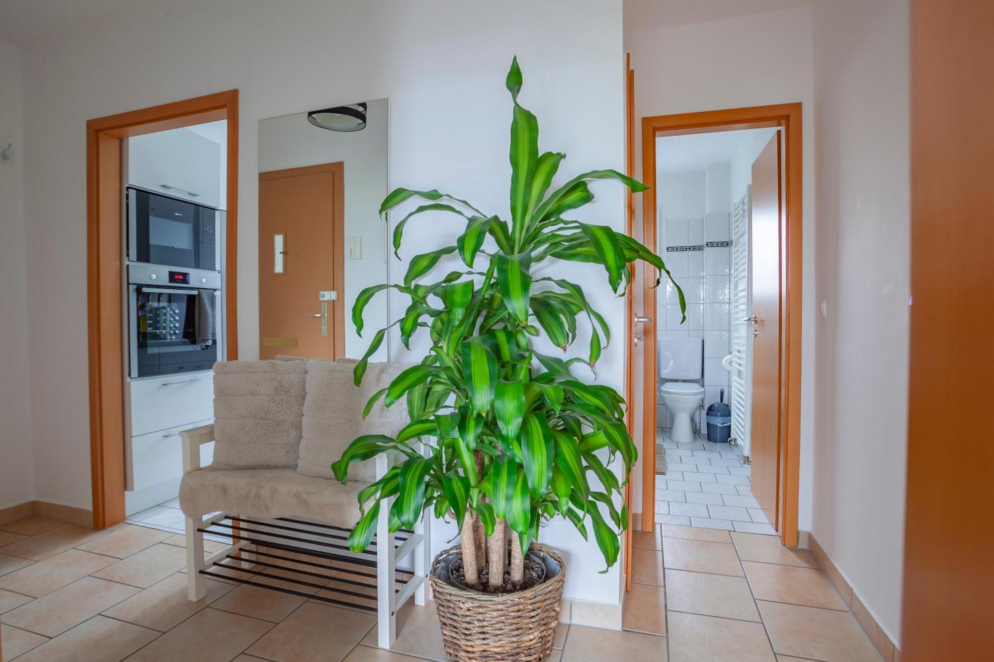 Exclusive 2-Room-City-Apartment - Contactless Check-In ハノーファー エクステリア 写真